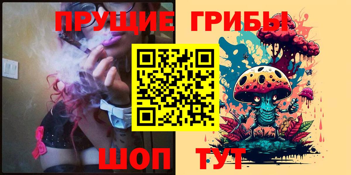 Галлюциногенные грибы Psilocybe Стрежевой